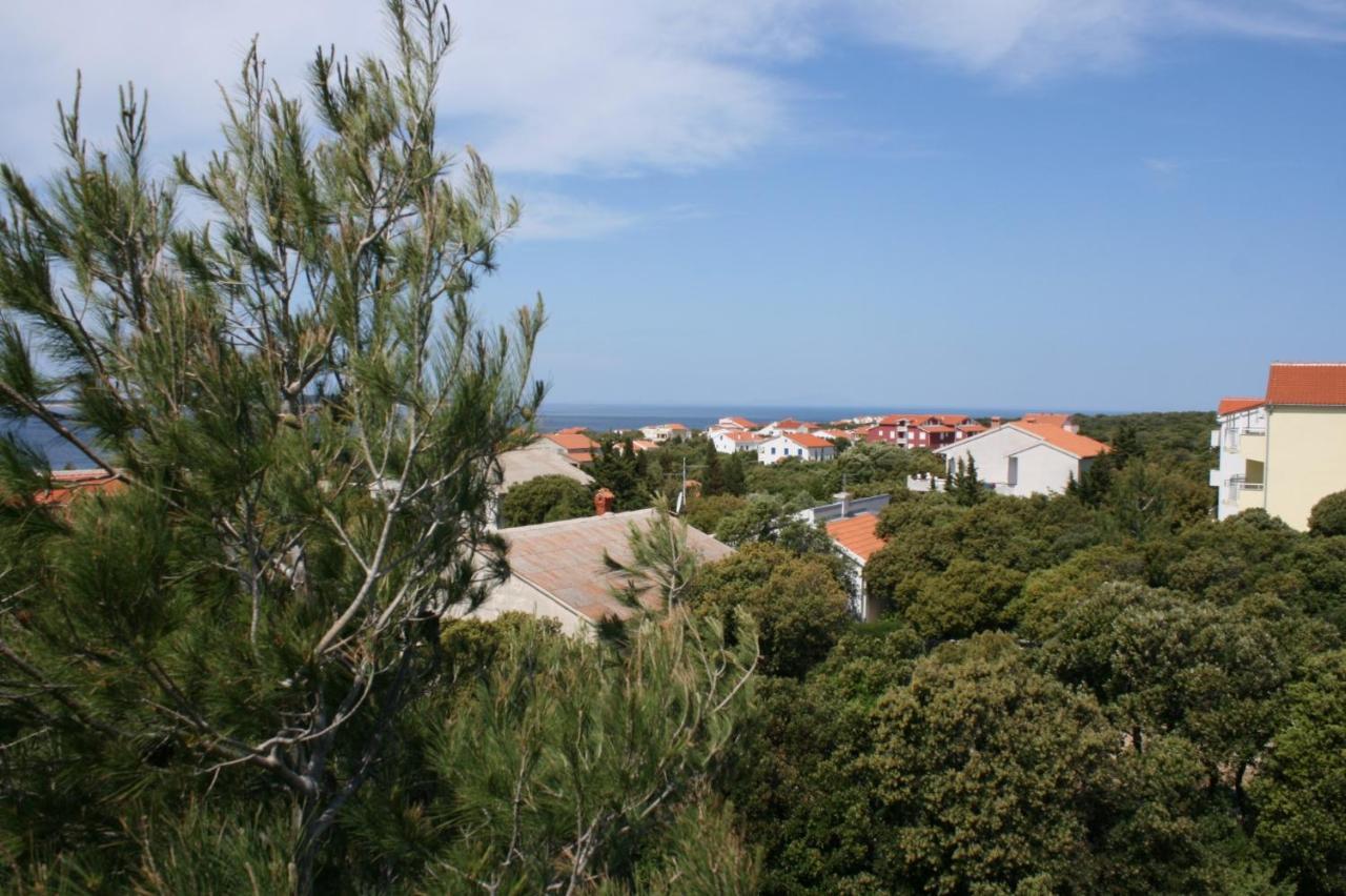 Apartments And Rooms With Parking Space Mandre, Pag - 6309 Kolan Zewnętrze zdjęcie